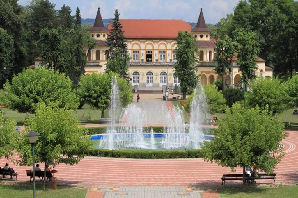 Hotel Royal Spa Banja Koviljača Exterior foto
